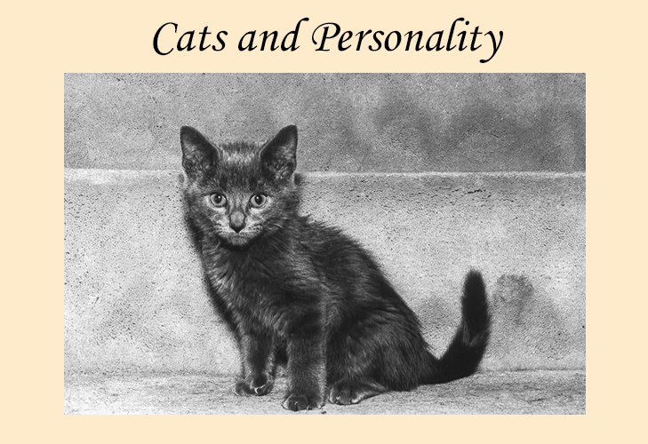 Cats and Personality